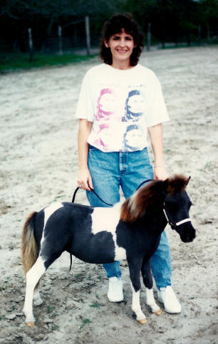 Jackie and black pinto miniature horse weanling.